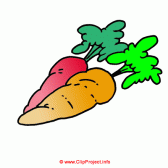 carrots
