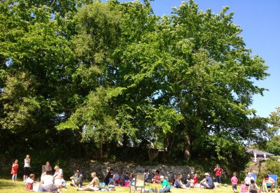 Parish Picnic