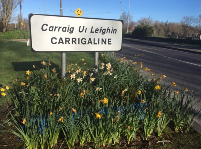 Carrigaline 3